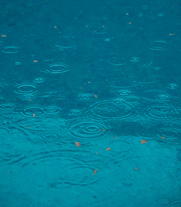 APM Monaco Sustainability Rain Water use