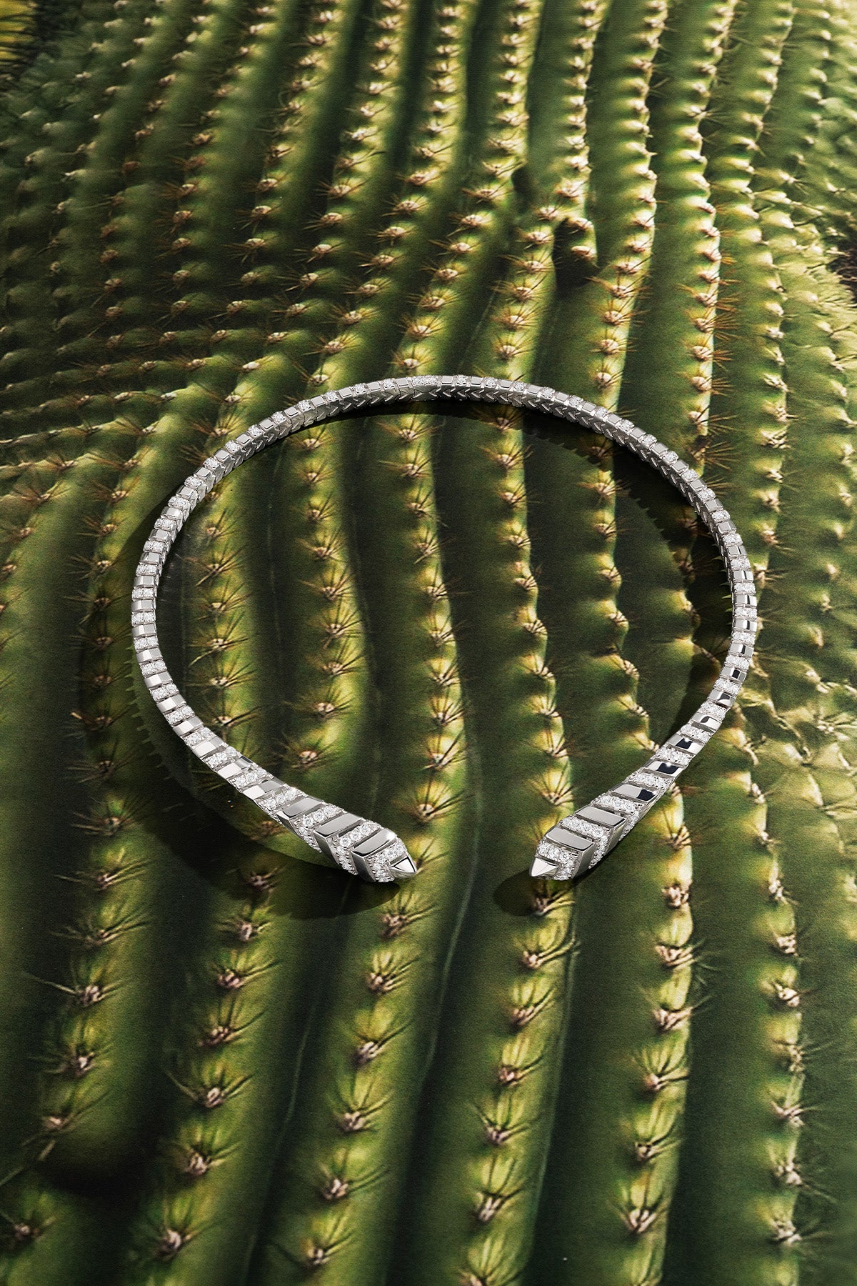 APM MONACO silver choker on a cactus background